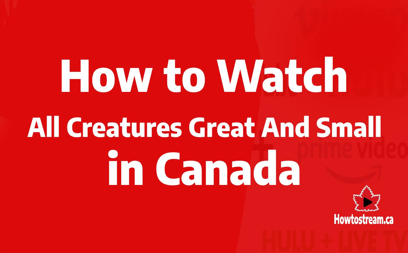 How to Watch All Creatures Great and Small